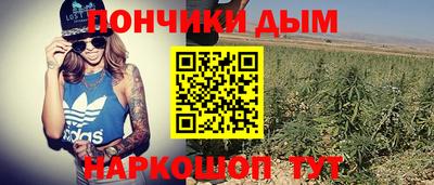 jwh Свободный