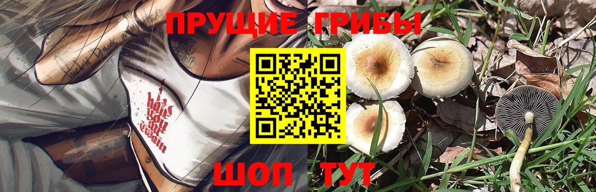 Галлюциногенные грибы мухоморы Реж