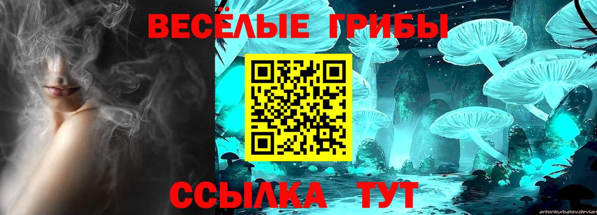Галлюциногенные грибы Psilocybine cubensis  Галлюциногенные грибы Psilocybe  Вход с VPN  Реж 